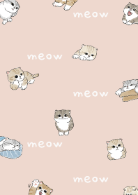 neko combo4 / sea shell