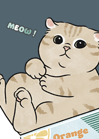 neko single19 - dark steel blue