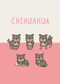 ゆるっとチョコタンチワワさん