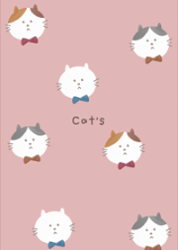 Cute cat.5.