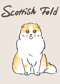 Kucing lipatan Skotlandia