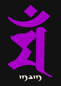 BONJI zodiac [maM] BLACK PURPLE (0673