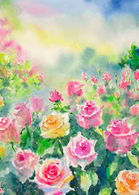 Beautiful rose flower(R1777)