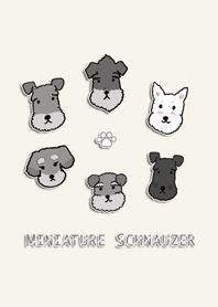 シュナウザーいっぱい！