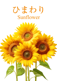 "Sunflower vol.4" theme