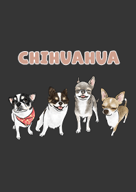chihuahua3 - carbon