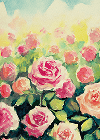 Beautiful rose flower(R4646)