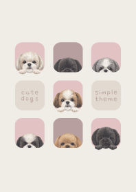 DOGS - シーズー - ピンクグレー