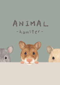 ANIMAL - Golden hamster - GREEN GRAY