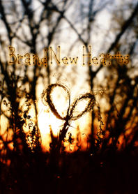 Brand New Hearts