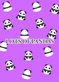 LOTS OF PANDAS-NEON PURPLE-BLACK
