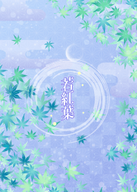 Japanese maple Fresh green 4