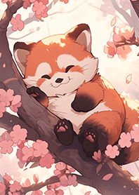 櫻花樹上的小浣熊❤️