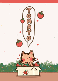 MEOW MEOW : แมวส้มเก็บมะเขือเทศ