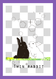 Twin rabbit