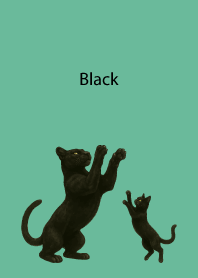 Black Pair04 on blue green