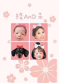 綾0遇見朵兒-櫻花