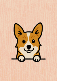 Short Legs, Happy Corgi Life17