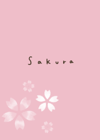 可愛いピンク桜。大人。
