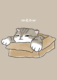 neko drawing1 / tan
