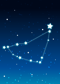 Happy Constellation. Capricorn