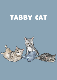 tabbycat5 / pale blue