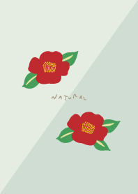 Camellia Japanese style15 from Japan