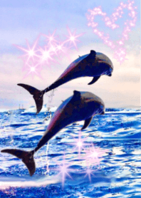 lucky two dolphins sea