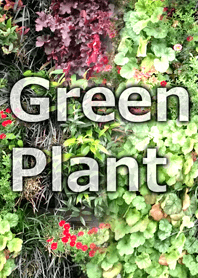 Green Plant