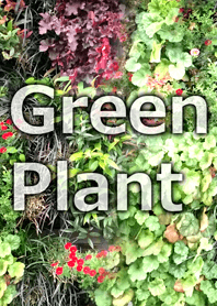 グリーンプラント-Green Plant