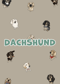 dachshund6 / khaki