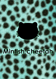 Mintish cheetah