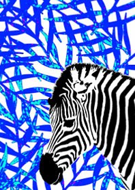 I love animals - zebra
