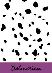 Dalmatian -Plum-