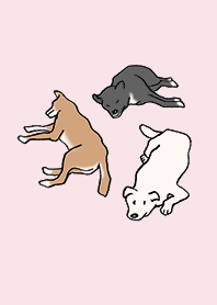 Cachorros wancorase_02_cor de rosa