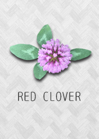 RED　CLOVER