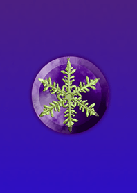 Crystal Button Purple @ Winter Feature