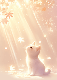 ⭐️แมวอบอุ่นในแสงแดดฤดูใบไม้ร่วง❤️1-2