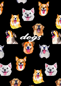 The cheerful dogs on black