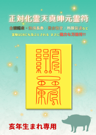 正対化霊天真坤元霊符 亥年生まれ専用護符