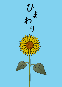 向日葵(ひまわり)