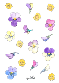 Viola ビオラの花の着せかえ。水彩