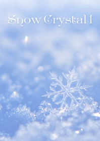 Snow Crystal 1