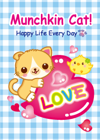Munchkin Cat! Happy Life Every Day!