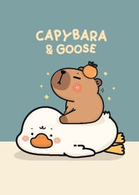 คาปิบาร่า น่ารัก.