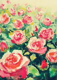 Beautiful rose flower(R4395)