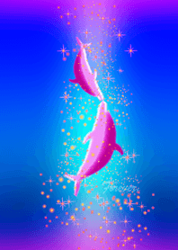 イルカの世界＊第⑪章