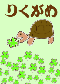 Tortoise theme No.4