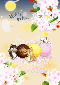 花よりわんこ13（柴犬、月、桜、団子）