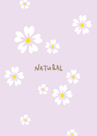 5 white petals9 from Japan